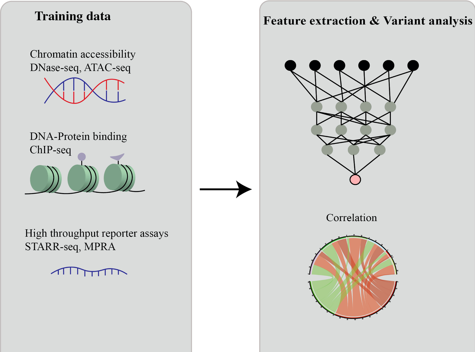 Massively Parallel Reporter Assays — ML variant analysis