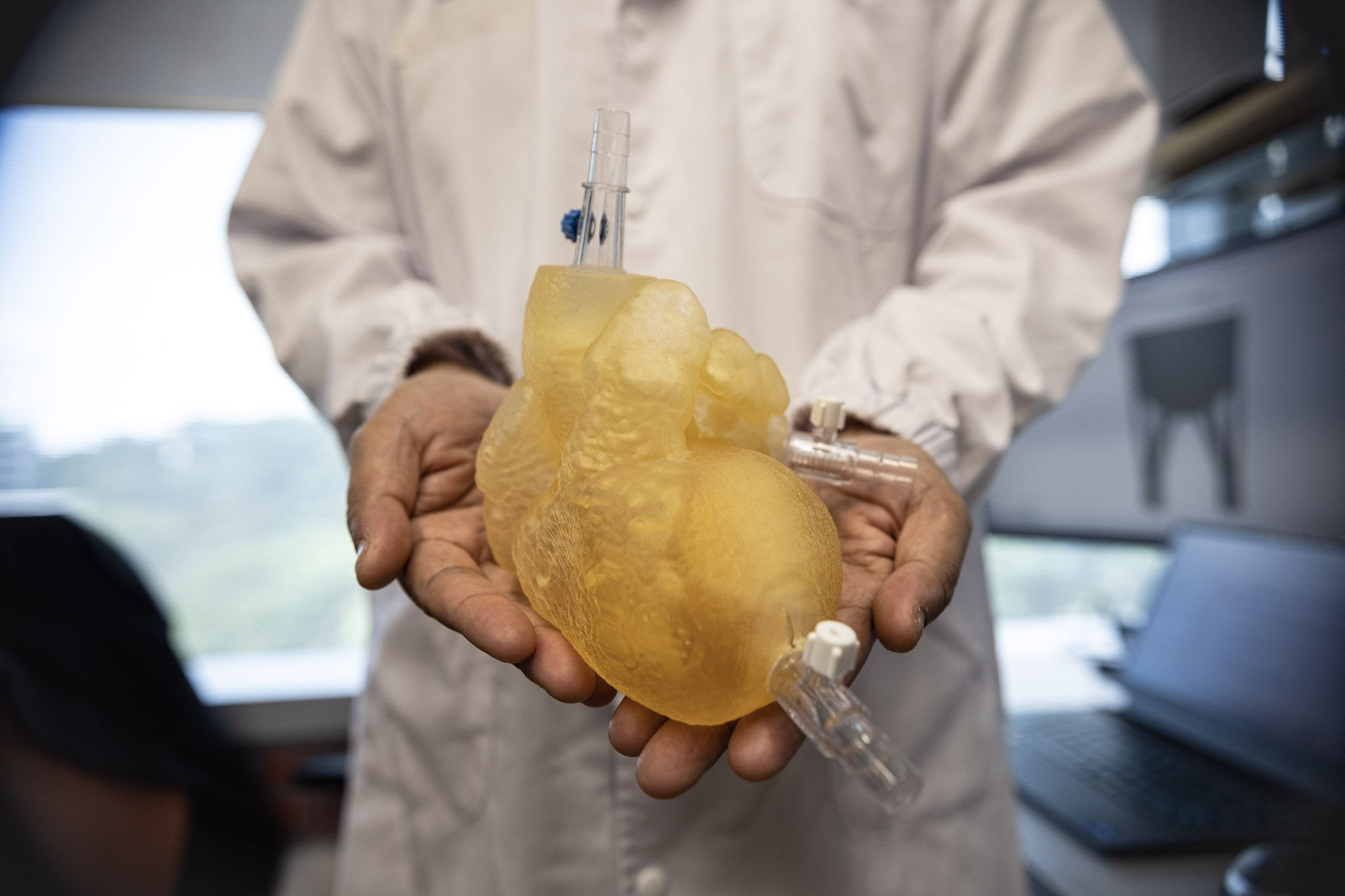 Clinical Research — 3D printed heart model