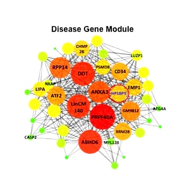 Mechanisms — Disease Gene Module