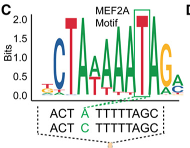 Transcriptomics — Circular genome map